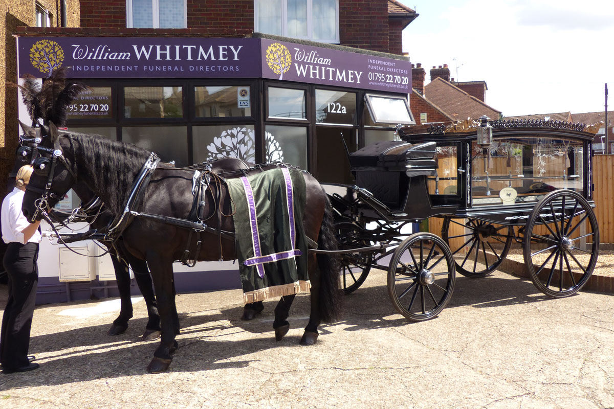 Horse Drawn Hearse